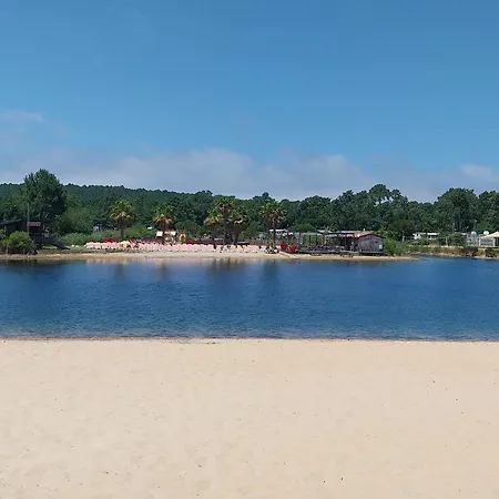 Au Bord De L'eau 